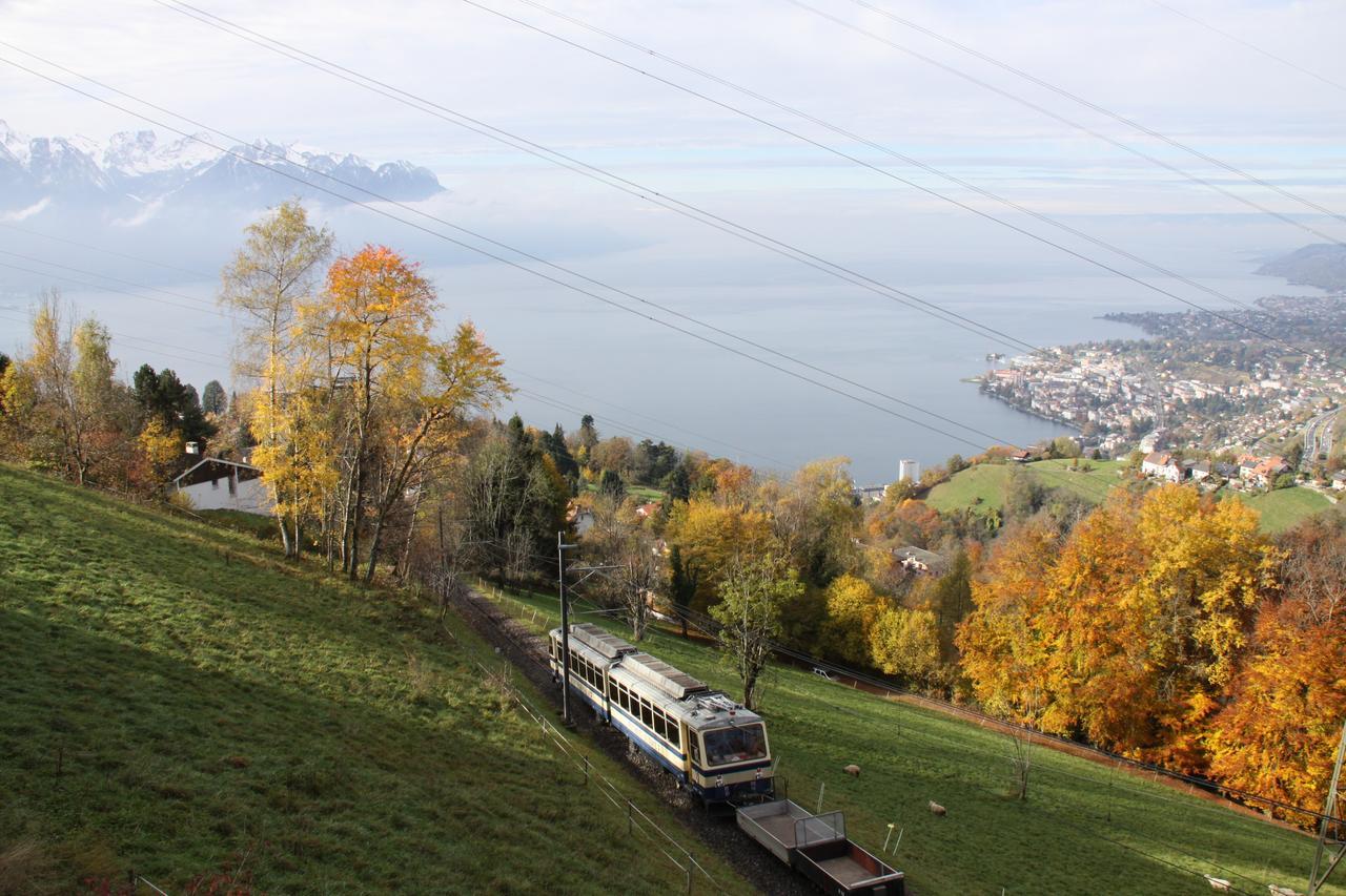 Gais Alpins Villa Montreux Kültér fotó