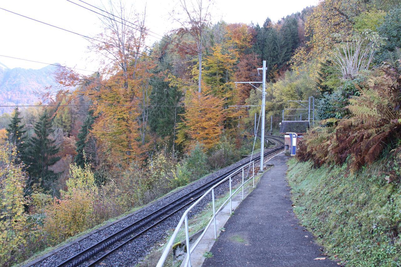 Gais Alpins Villa Montreux Kültér fotó
