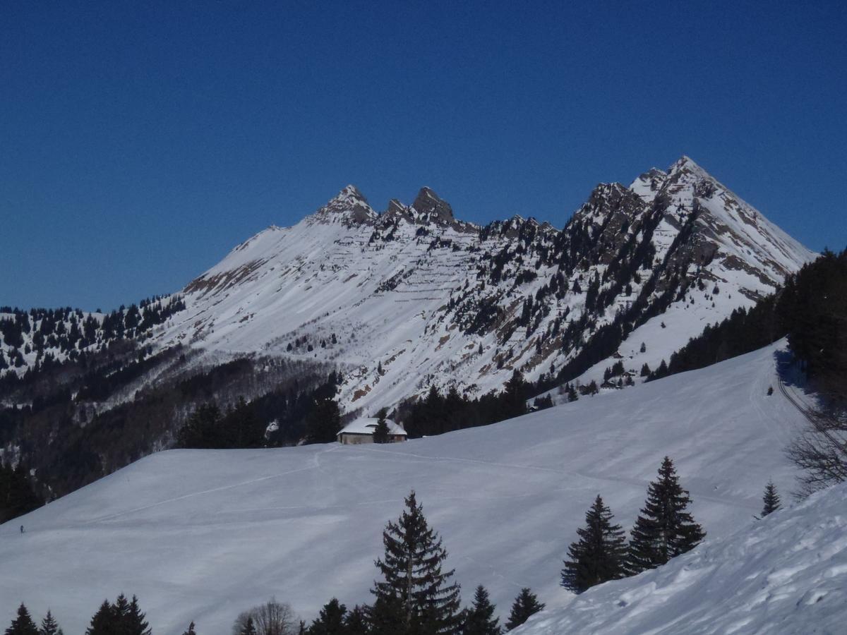 Gais Alpins Villa Montreux Kültér fotó